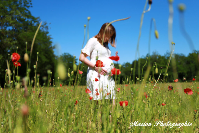 Grossesse - champs de coquelicots